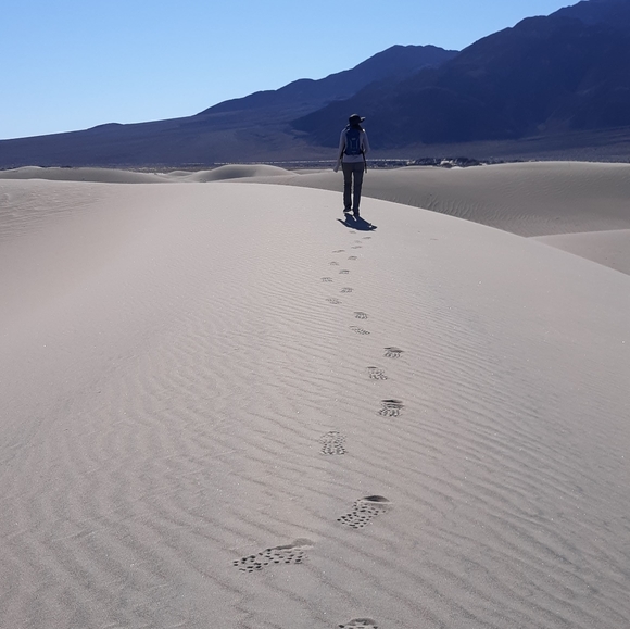 Meet your Posh Ambassador - Picture 5 of 5